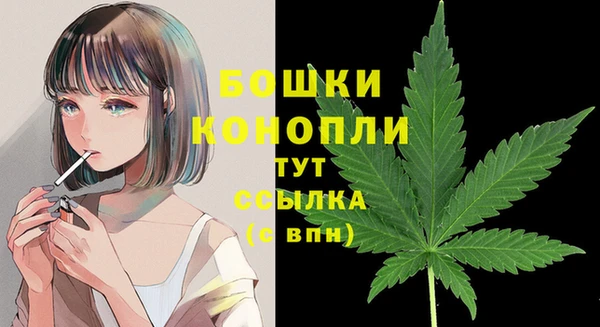 ALPHA PVP Медвежьегорск