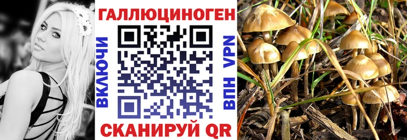 Галлюциногенные грибы Psilocybe  Малоярославец 