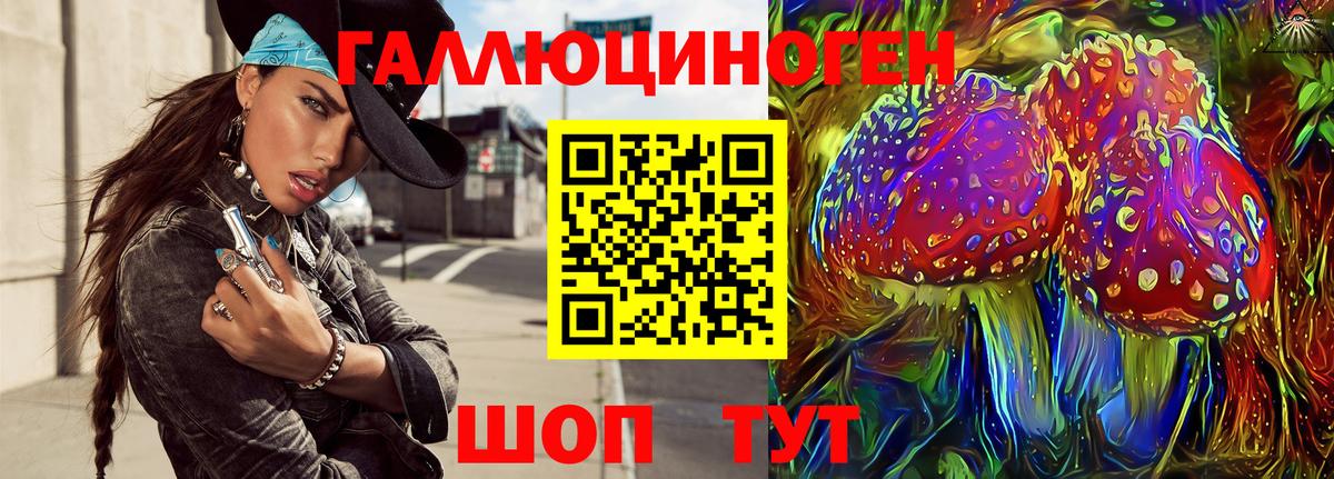 Малоярославец  Псилоцибиновые грибы Cubensis  Галлюциногенные грибы мицелий  Вход с VPN 