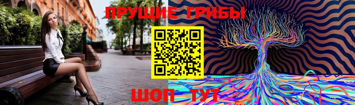 где купить наркоту  Малоярославец  Псилоцибиновые грибы Psilocybe 